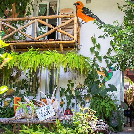 Hotel Casa Zen Galeria Y Cafe A Solo 8 Min De La Playa Santa Cruz Exterior foto